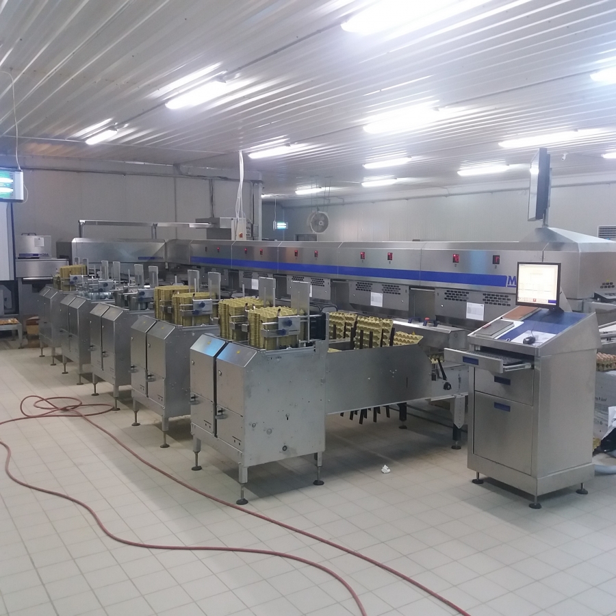 Kıbrıs Mustafa Hacı Ali İşletmeleri'nde yeni MOBA Yumurta Tasnif ve Paketleme Makinesi 